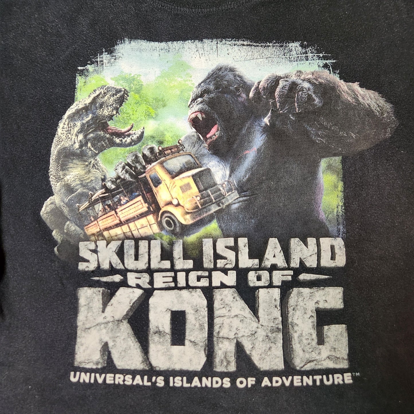 Reign Of Kong Skull Island Mens Small Black Tee T-shirt Casual Universal Island